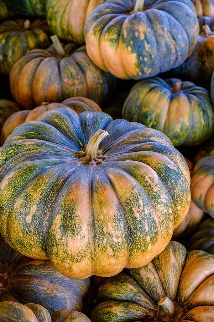 Homepage maintain focus image