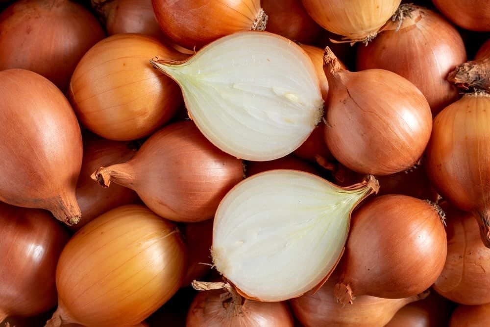 Homepage maintain focus image